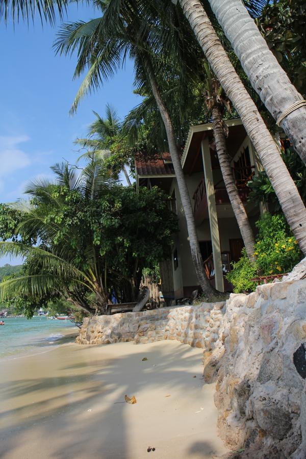 Big Fish Station touristique Koh Tao