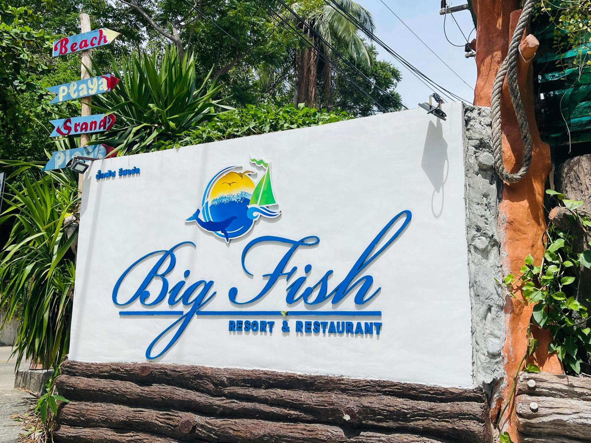 Big Fish Koh Tao