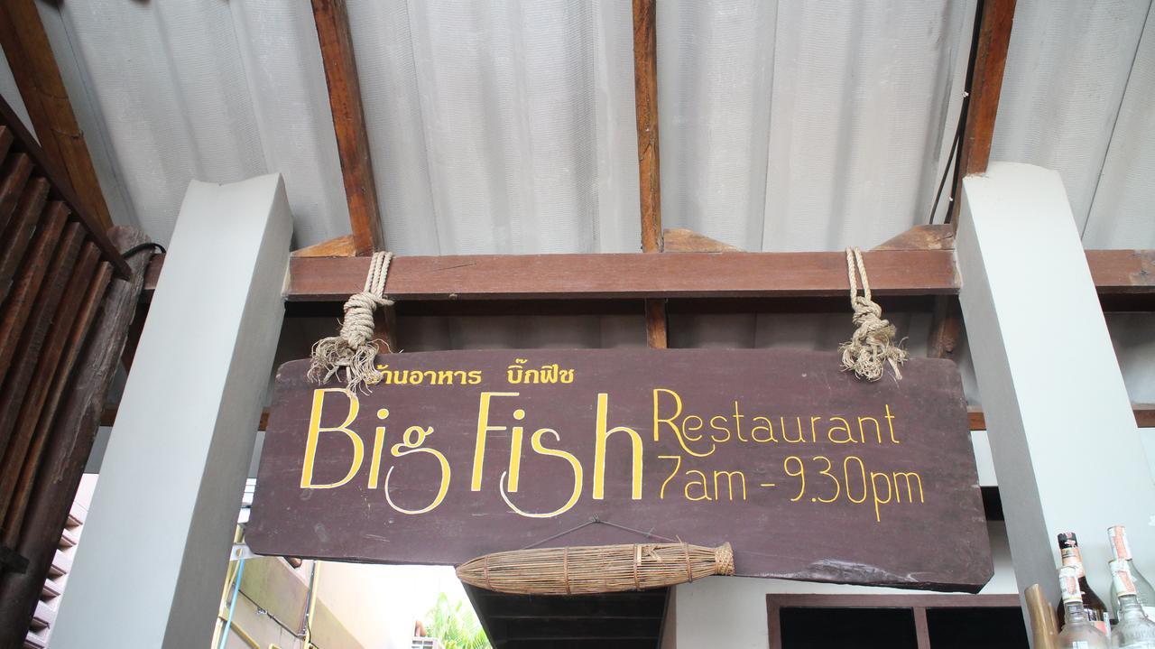 Big Fish เกาะเต่า