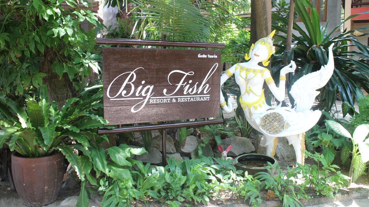 Big Fish เกาะเต่า